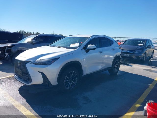 2022 LEXUS NX JTJADCAZ6N2004571 Photo 1