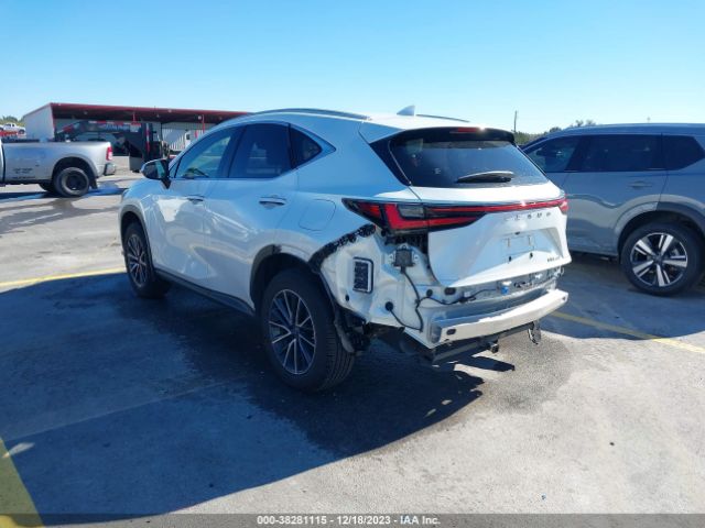 2022 LEXUS NX JTJADCAZ6N2004571 Photo 2