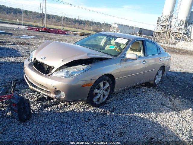 2006 LEXUS ES 330 VIN: JTHBA30G365167807