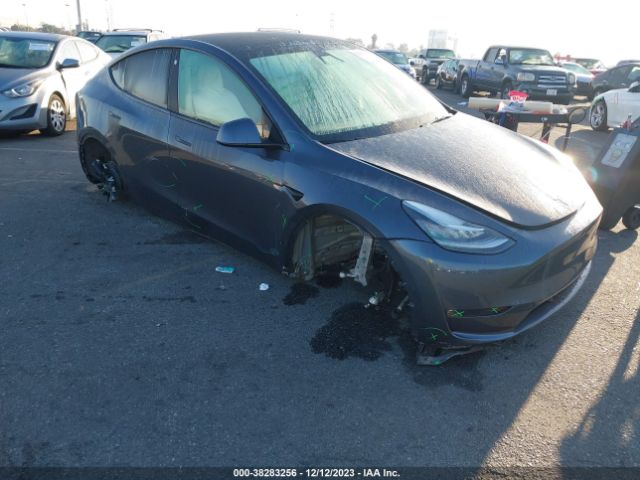 2021 TESLA MODEL Y 5YJYGAEE9MF216171