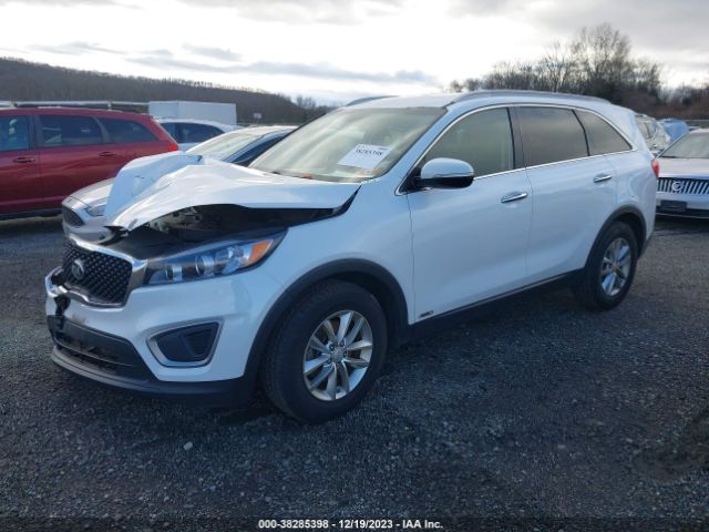 5XYPGDA39GG109961 KIA Sorento 2.4l Lx