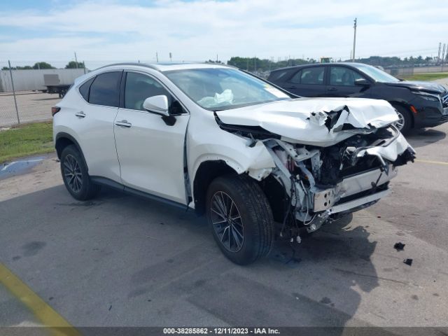 2024 LEXUS NX JTJAKCEZ4R2022475
