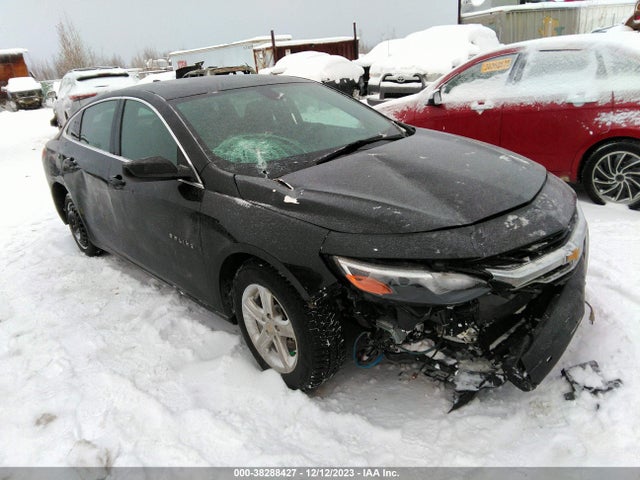 2020 1G1ZB5ST1LF022329 main image