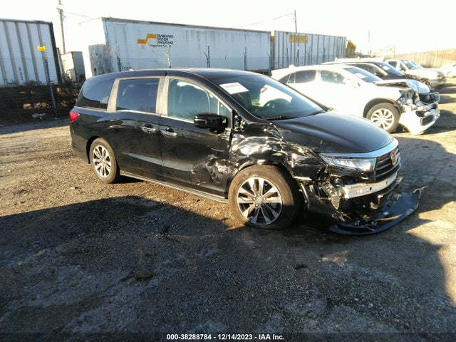 2023 HONDA ODYSSEY EX-L VIN: 5FNRL6H61PB064635