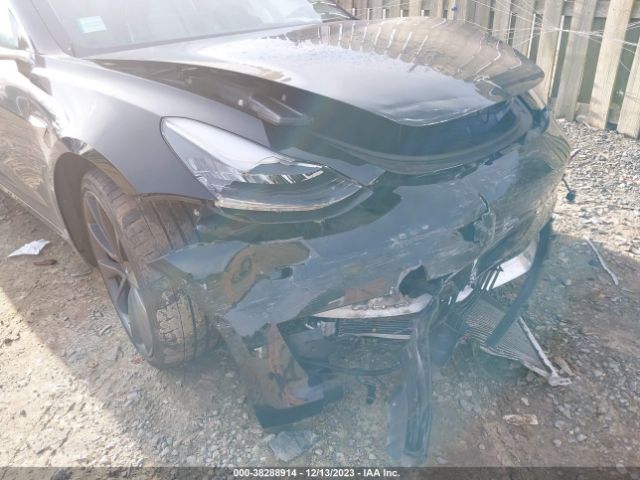 2020 TESLA MODEL 3 5YJ3E1EC9LF646800 Photo 5