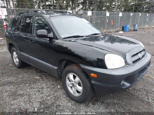 2005 HYUNDAI SANTA FE GLS VIN: KM8SC73D45U898377