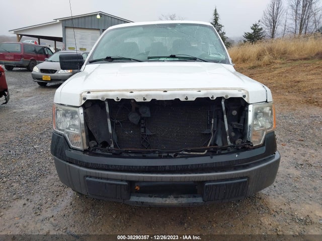 2013 FORD F-150 XL VIN: 1FTMF1CM6DKE35569