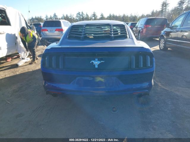 1FA6P8AM9G5254900 Ford Mustang V6
