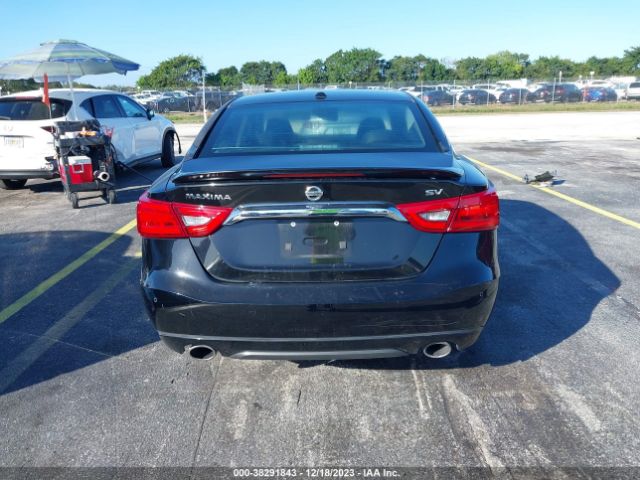 1N4AA6AP3GC442706 Nissan Maxima 3.5 Sv