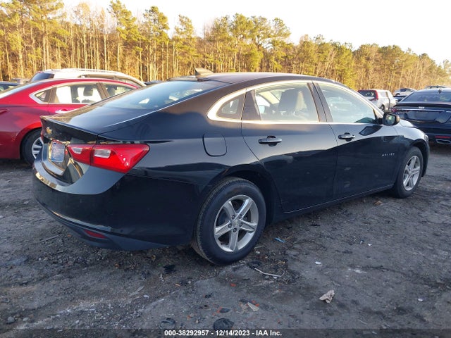 Chevrolet Malibu 1fl 2019 1G1ZC5STXKF217664 Image 4