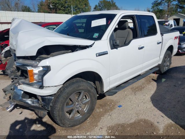 1FTEW1E52LKE69257 Ford F-150 Xlt