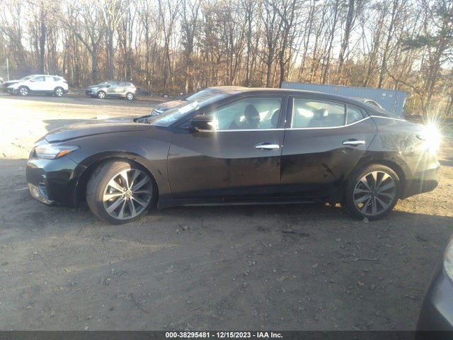 Nissan Maxima Platinum Xtronic Cvt 2023 1N4AA6FV7PC508651 Image 14