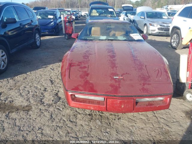 1988 CHEVROLET CORVETTE 1G1YY2180J5104626 Photo 5