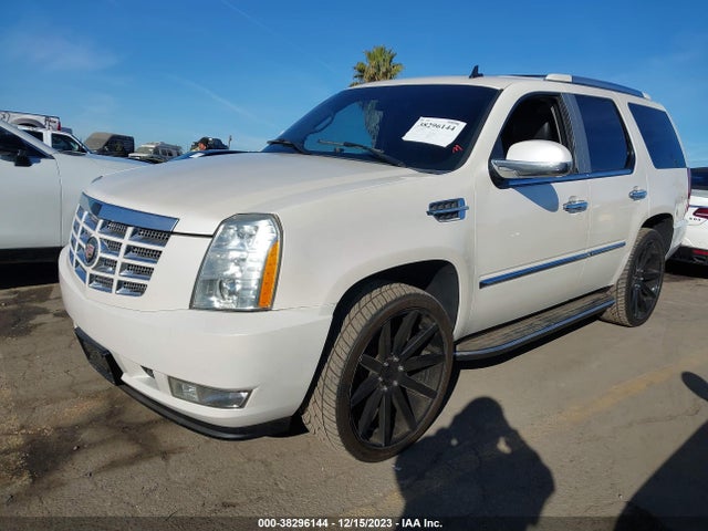2007 CADILLAC ESCALADE STANDARD VIN: 1GYFK63867R320559
