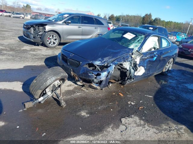 WBA1G9C58GV599509 BMW 228i Xdrive