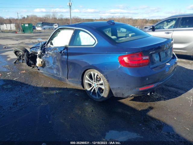 WBA1G9C58GV599509 BMW 228i Xdrive