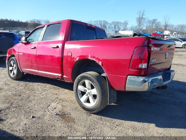2010 DODGE RAM 1500 SLT/SPORT/TRX VIN: 1D7RV1CT8AS113775