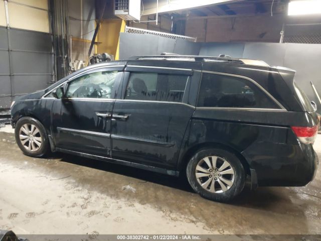 5FNRL5H61EB003292 Honda Odyssey Ex-l