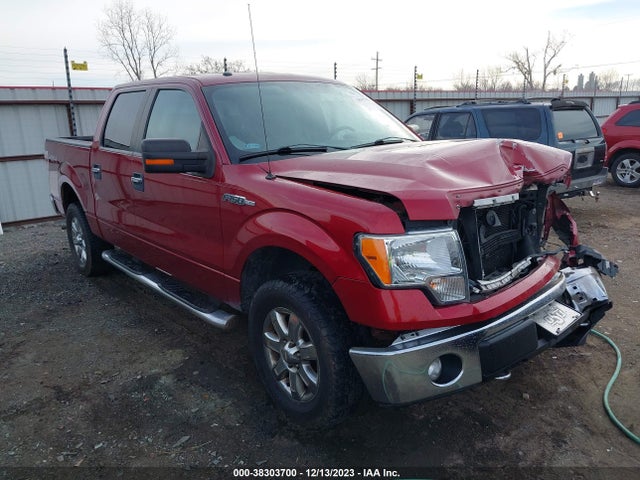 2013 FORD F-150 XLT VIN: 1FTFW1EF1DKD41753