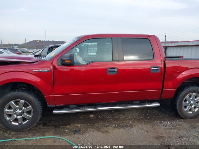 2013 FORD F-150 XLT VIN: 1FTFW1EF1DKD41753