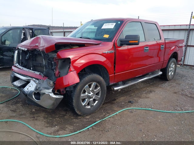 2013 FORD F-150 XLT VIN: 1FTFW1EF1DKD41753
