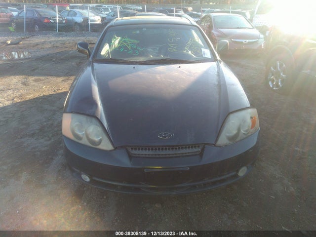 2004 HYUNDAI TIBURON GT V6/GT V6 SPECIAL EDITION VIN: KMHHN65FX4U135498