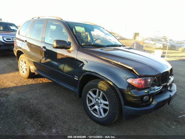2006 BMW X5 3.0I VIN: 5UXFA13546LY31009