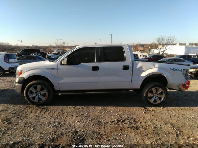 1FTFW1EF9EKG22460 Ford F-150 Xl