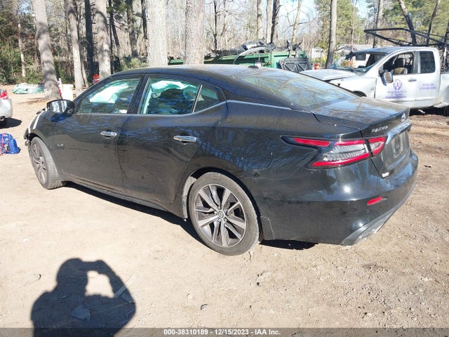 Nissan Maxima Sv Xtronic Cvt 2020 1N4AA6CV1LC371205 Image 3