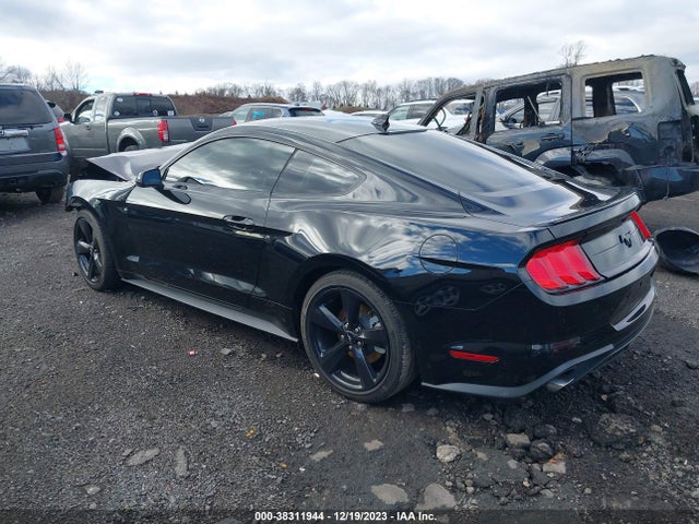Ford Mustang Ecoboost Fastback 2021 1FA6P8TH3M5155274 Image 3