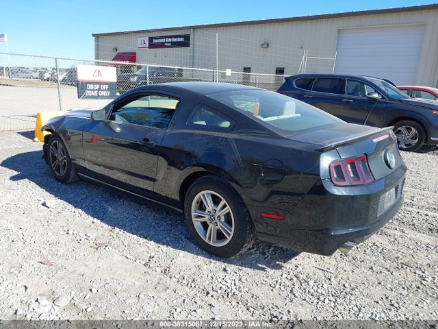 2013 FORD MUSTANG V6 VIN: 1ZVBP8AM3D5277669