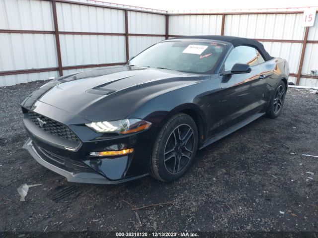 2020 FORD MUSTANG 1FATP8UH2L5180151 Photo 1