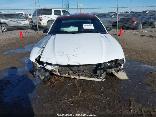 1996 FORD MUSTANG VIN: 1FALP4041TF218507