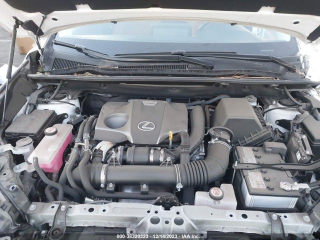 2020 LEXUS NX 300 VIN: JTJDARBZ1L5011298