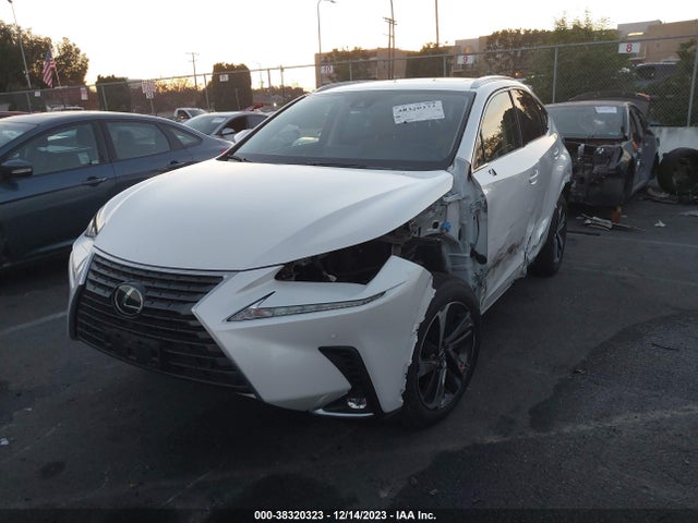 2020 LEXUS NX 300 VIN: JTJDARBZ1L5011298