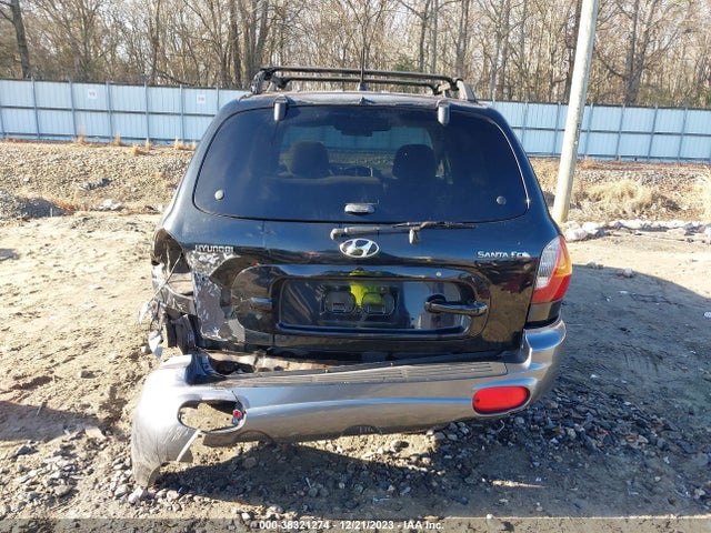 2004 HYUNDAI SANTA FE GLS VIN: KM8SC13D54U765543