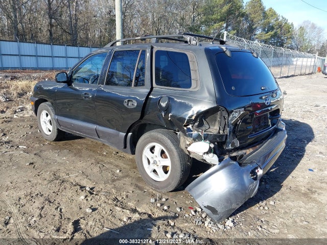 2004 HYUNDAI SANTA FE GLS VIN: KM8SC13D54U765543