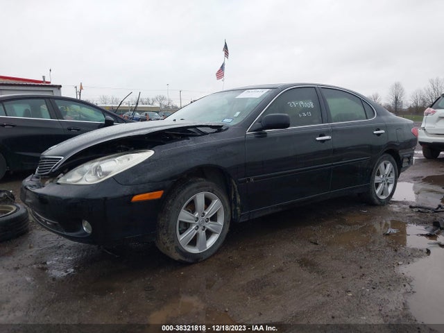 2005 LEXUS ES 330 VIN: JTHBA30G655083995