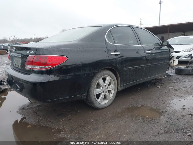 2005 LEXUS ES 330 VIN: JTHBA30G655083995