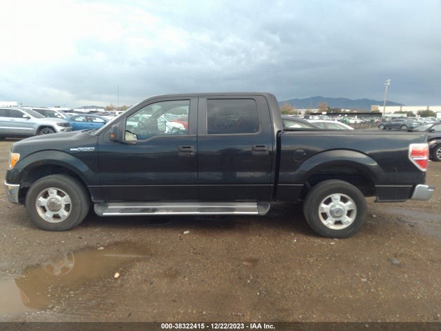 2012 FORD F-150 XL/XLT VIN: 1FTEW1CM9CFC15662