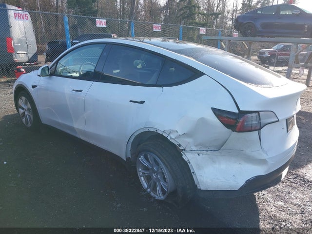 2023 TESLA MODEL Y 7SAYGDEE0PF850784 Photo 2