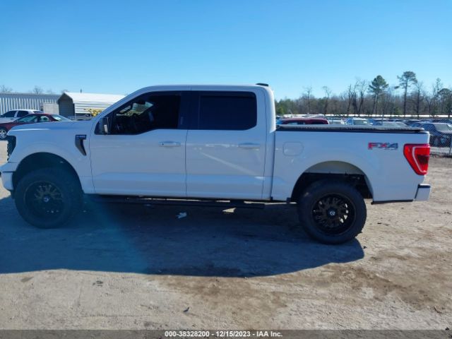 1FTFW1E53PFA95132 Ford F-150 Xlt
