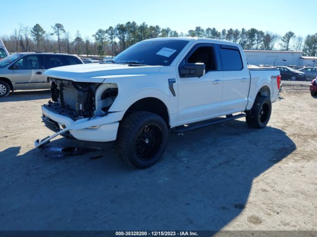 1FTFW1E53PFA95132 Ford F-150 Xlt