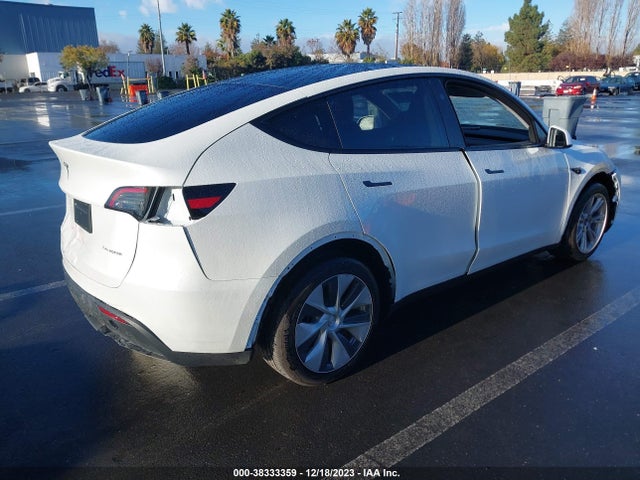 2023 TESLA MODEL Y 7SAYGDEE2PF812117 Photo 3