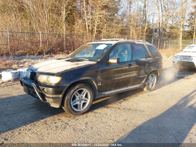 2002 BMW X5 4.4I VIN: 5UXFB335X2LH35715