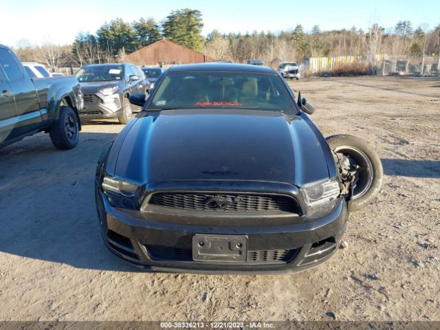 1ZVBP8AM9E5334779 Ford Mustang V6