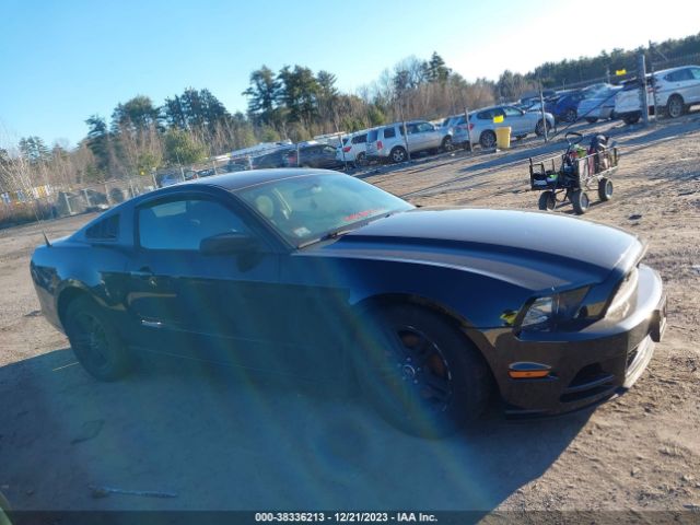 1ZVBP8AM9E5334779 Ford Mustang V6