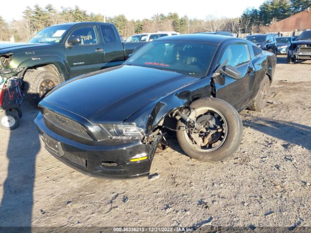 1ZVBP8AM9E5334779 Ford Mustang V6