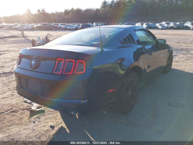 1ZVBP8AM9E5334779 Ford Mustang V6
