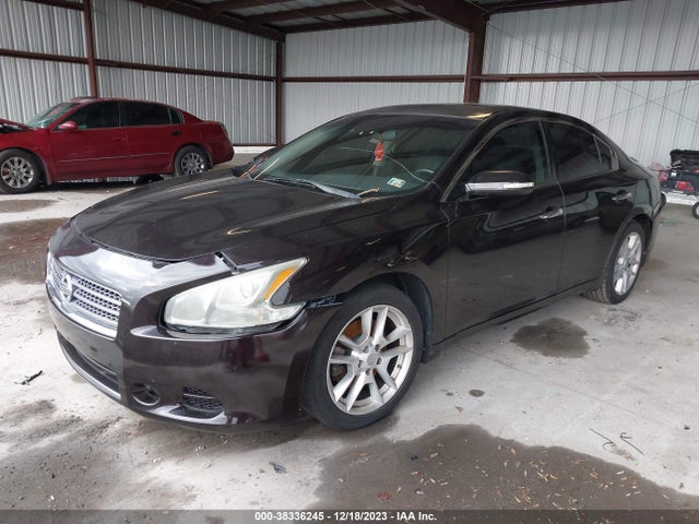 2011 NISSAN MAXIMA 3.5 SV VIN: 1N4AA5AP8BC838388
